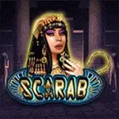 Escarabajo